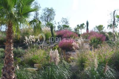 Location salle Magalas (Hérault) - Le Mas De Laux #13