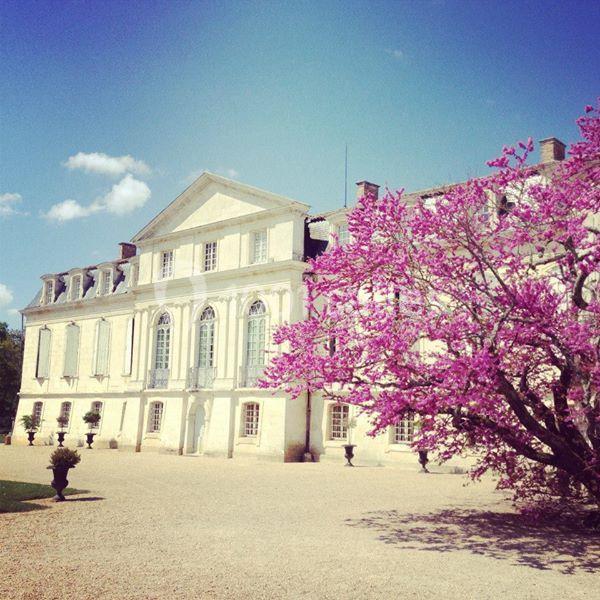 Location salle Marennes (Charente-Maritime) - Château de la Gataudière #12