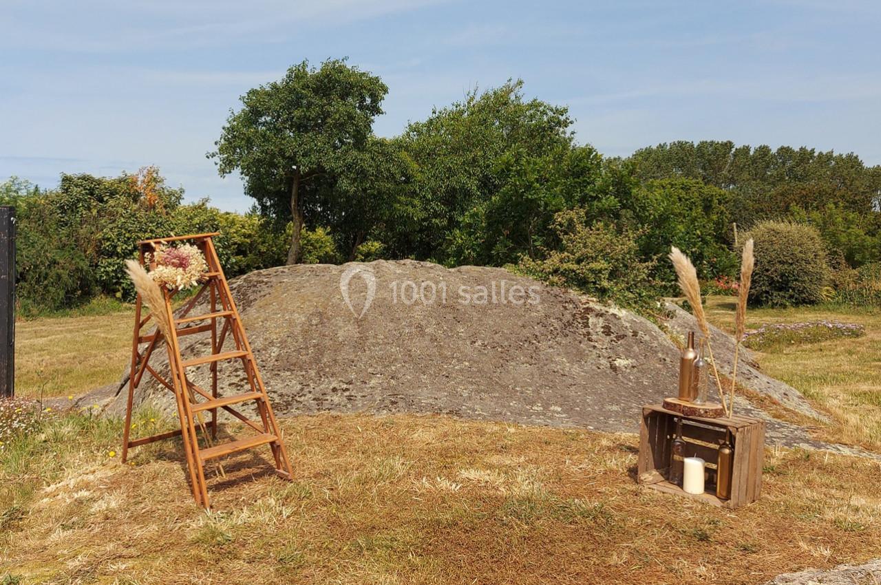 Échelle en bois décorée de fleurs séchées et caisse en bois avec pampas, sur un terrain herbeux devant un rocher.