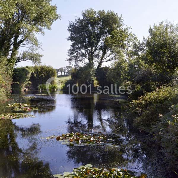 Étang calme entouré de végétation, avec des nénuphars à la surface et des arbres bordant les rives.