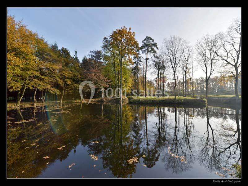 Étang calme entouré d'arbres aux feuilles d'automne, reflétant le paysage dans une lumière douce du matin.