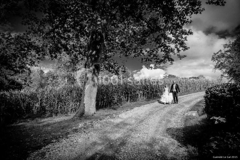 Location salle Bruges-Capbis-Mifaget (Pyrénées-Atlantiques) - Domaine des Deux Eaux #15