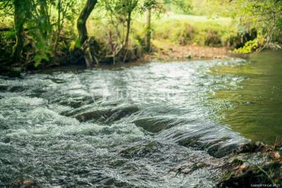 Location salle Bruges-Capbis-Mifaget (Pyrénées-Atlantiques) - Domaine des Deux Eaux #23