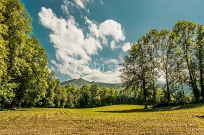 Location salle Bruges-Capbis-Mifaget (Pyrénées-Atlantiques) - Domaine des Deux Eaux #17