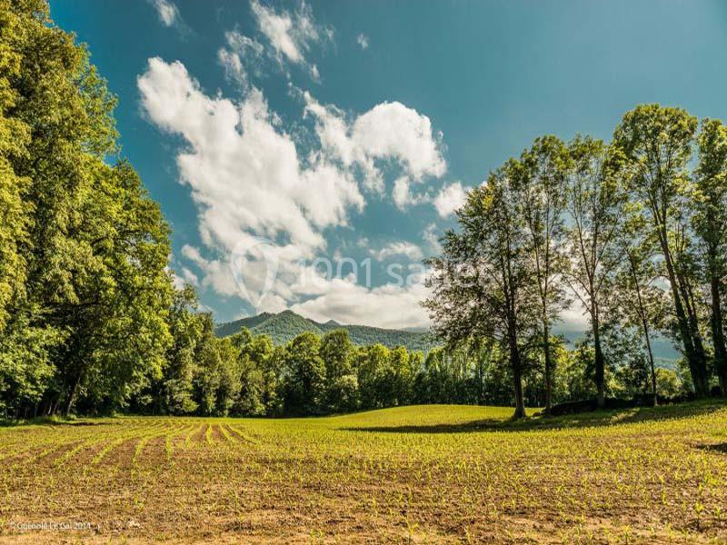 Location salle Bruges-Capbis-Mifaget (Pyrénées-Atlantiques) - Domaine des Deux Eaux #5