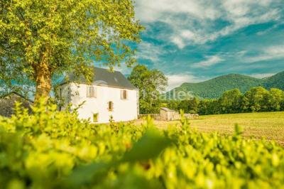 Location salle Bruges-Capbis-Mifaget (Pyrénées-Atlantiques) - Domaine des Deux Eaux #17