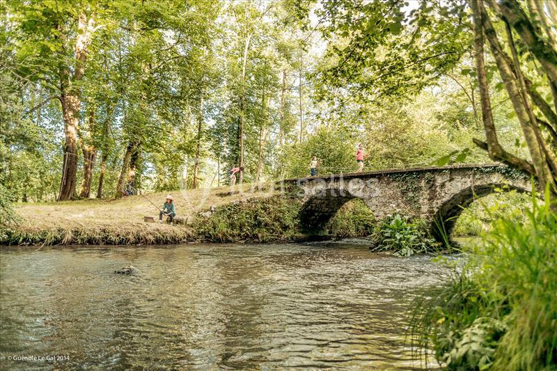 Location salle Bruges-Capbis-Mifaget (Pyrénées-Atlantiques) - Domaine des Deux Eaux #12