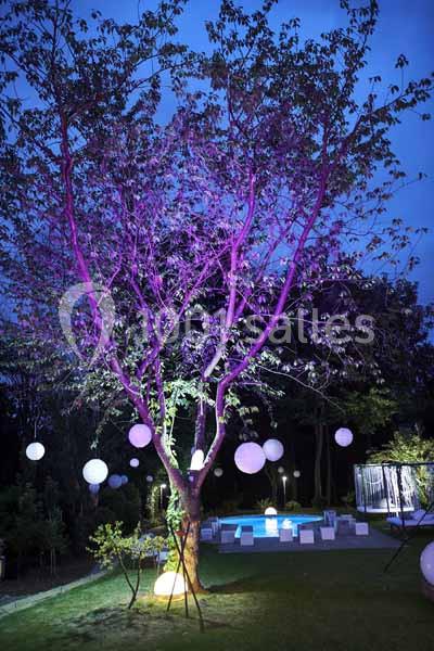 Arbre illuminé par des lumières colorées avec des lanternes suspendues, près d'une piscine dans un jardin en soirée.