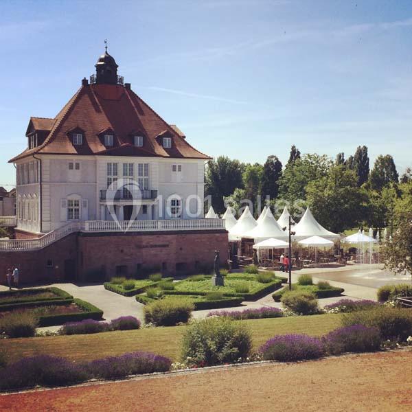 Location salle Strasbourg (Bas-Rhin) - Villa Schmidt #3