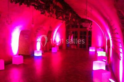 Location salle Strasbourg (Bas-Rhin) - Villa Schmidt #24