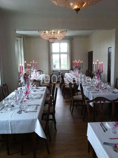 Location salle Strasbourg (Bas-Rhin) - Villa Schmidt #13