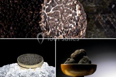 Location salle Toulon (Var) - Les Pins Penchés #11