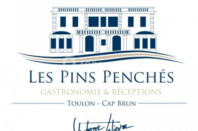 Les Pins Penchés Les Pins Penchés