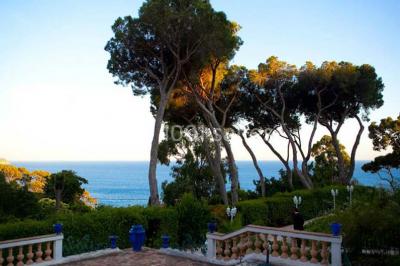 Location salle Toulon (Var) - Les Pins Penchés #11