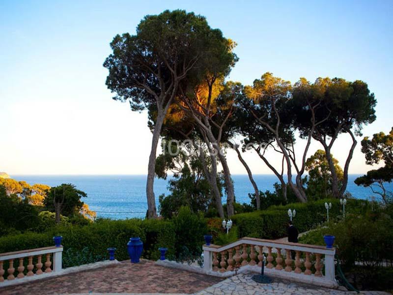 Location salle Toulon (Var) - Les Pins Penchés #4