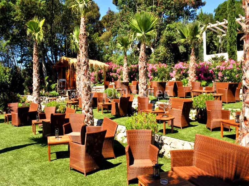 Location salle Toulon (Var) - Les Pins Penchés #3