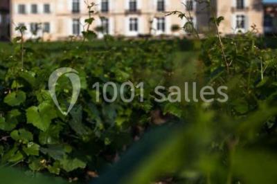 Location salle Meursault (Côte-d'Or) - Château De Meursault #24