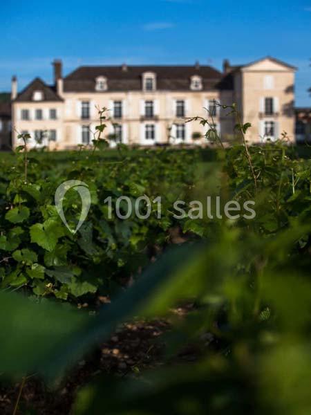 Location salle Meursault (Côte-d'Or) - Château De Meursault #2