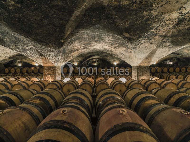 Location salle Meursault (Côte-d'Or) - Château De Meursault #10