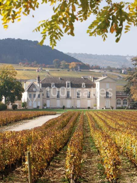 Location salle Meursault (Côte-d'Or) - Château De Meursault #21
