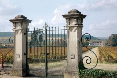 Location salle Meursault (Côte-d'Or) - Château De Meursault #24