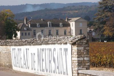 Location salle Meursault (Côte-d'Or) - Château De Meursault #24