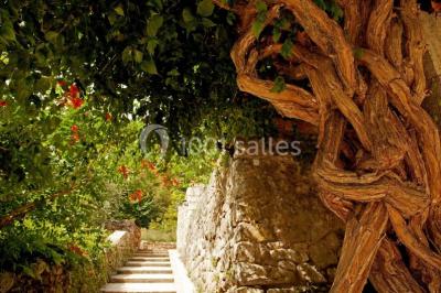 Location salle Largentière (Ardèche) - Domaine de l'Eau Vive #70