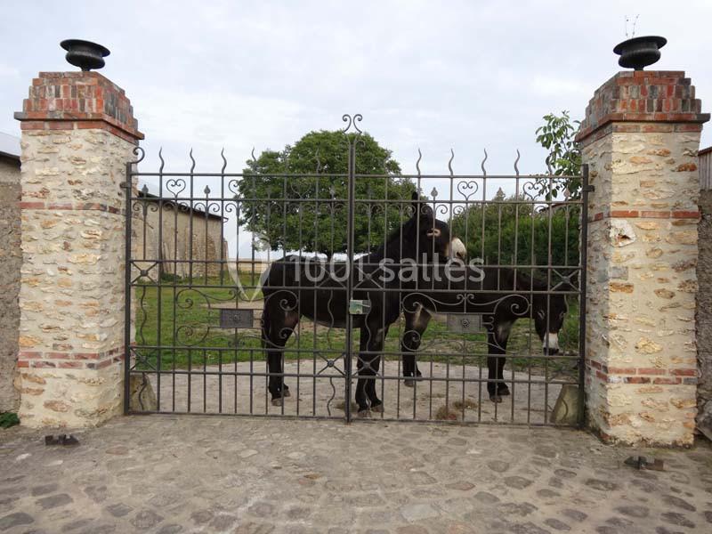 Location salle Chatignonville (Essonne) - Salle De L'ane Au Violon #7