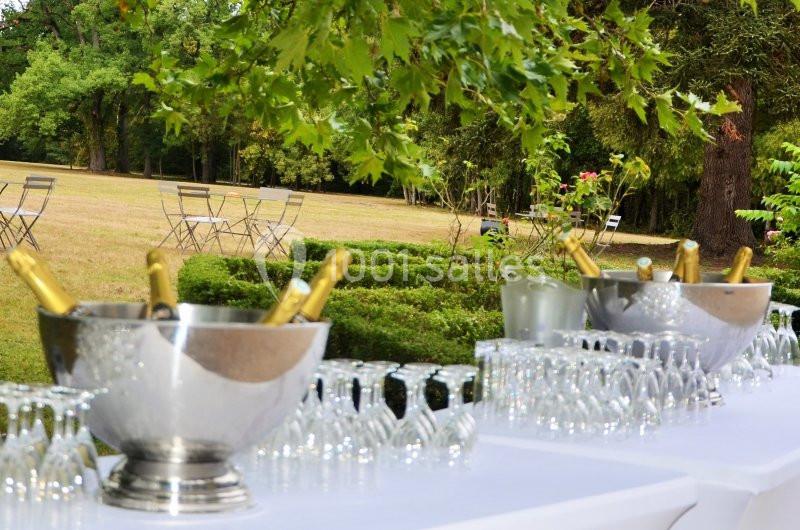 Table dressée en extérieur avec seaux à champagne, verres et chaises disposées sur une pelouse arborée.