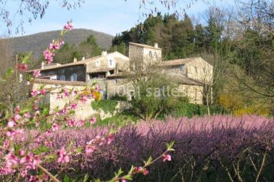 Location salle Mirmande (Drôme) - Domaine Les Fougères #24