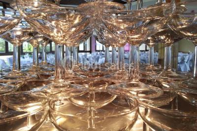 Location salle Saint-Pierre-en-Faucigny (Haute-Savoie) - Mont Blanc Hôtel #14