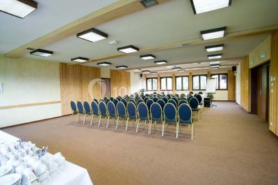 Location salle Saint-Pierre-en-Faucigny (Haute-Savoie) - Mont Blanc Hôtel #12