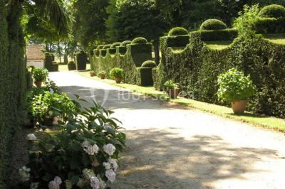 Miniature Location salle Triguères (Loiret) - Manoir du Grand Courtoiseau et ses Jardins Remarquables #10 Vaisselier rouge avec portes vitrées, contenant des verres, plats, bols et assiettes en céramique et en métal.