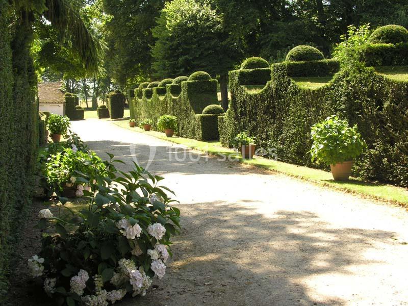 Allée bordée de buissons taillés et de pots de fleurs, sous un ciel ensoleillé dans un jardin paysager.