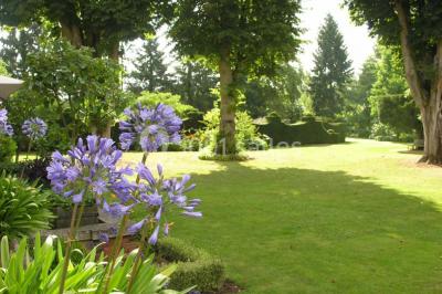 Miniature Location salle Triguères (Loiret) - Manoir du Grand Courtoiseau et ses Jardins Remarquables #9 Vaisselier rouge avec portes vitrées, contenant des verres, plats, bols et assiettes en céramique et en métal.