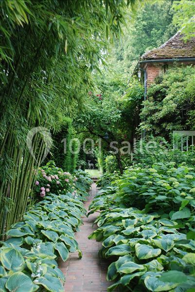 Allée de briques bordée de plantes luxuriantes, avec des bambous à gauche et une maison en pierre partiellement visible.