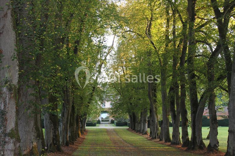 Allée bordée d'arbres aux feuilles vertes, menant à une maison visible au loin sous une lumière douce.