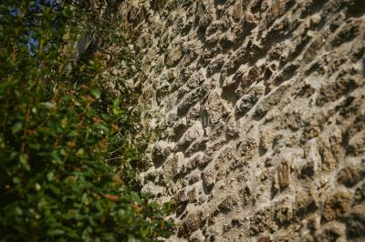 Location salle Guérande (Loire-Atlantique) - Domaine des Colombes #92