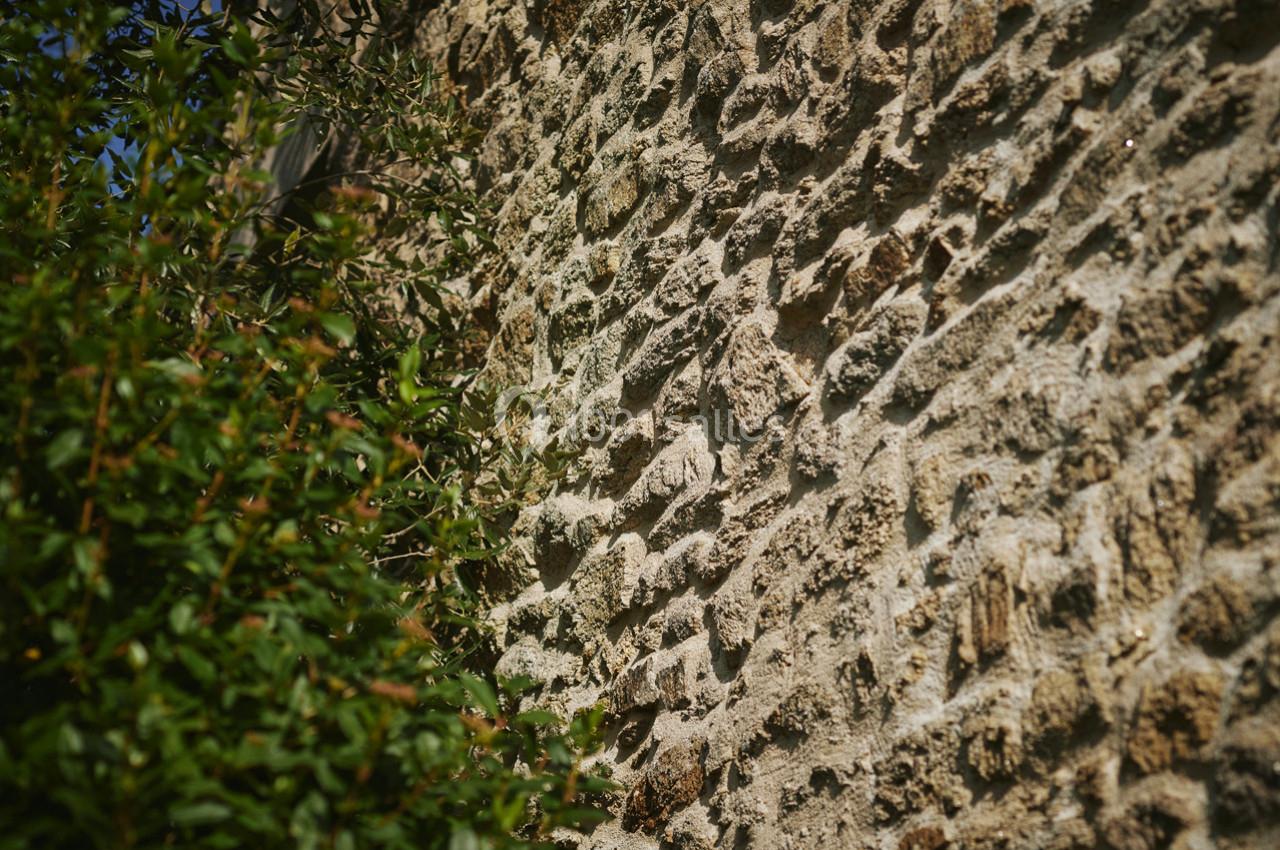 Location salle Guérande (Loire-Atlantique) - Domaine des Colombes #24