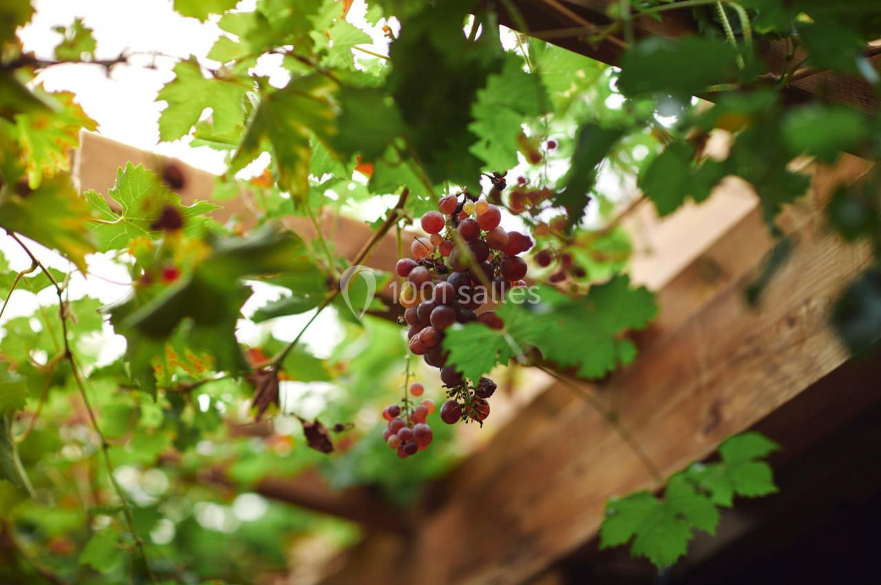 Location salle Guérande (Loire-Atlantique) - Domaine des Colombes #57