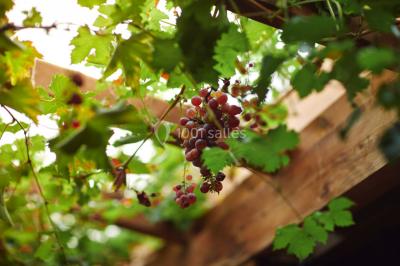 Location salle Guérande (Loire-Atlantique) - Domaine des Colombes #74