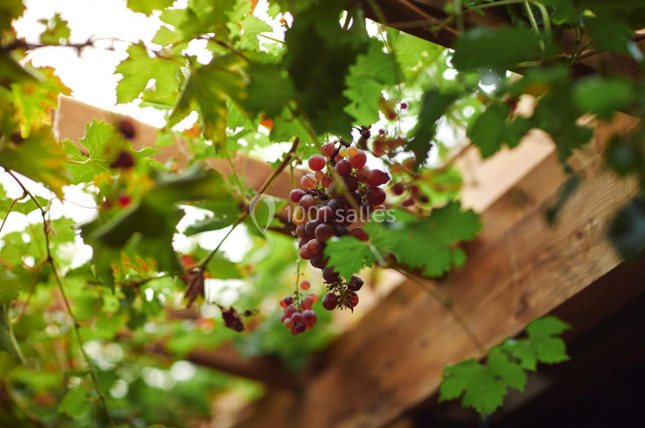 Location salle Guérande (Loire-Atlantique) - Domaine des Colombes #22