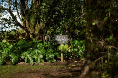 Location salle Guérande (Loire-Atlantique) - Domaine des Colombes #74