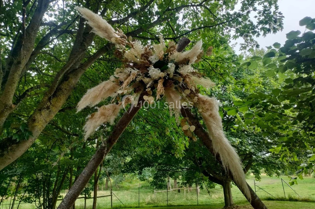 Structure en bois décorée de fleurs séchées et de pampas, installée dans un jardin verdoyant.