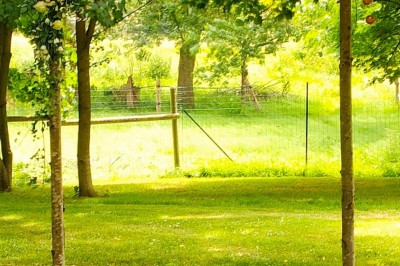 Voiture ancienne blanche décorée de fleurs, stationnée devant un bâtiment en pierre avec un toit en ardoise.