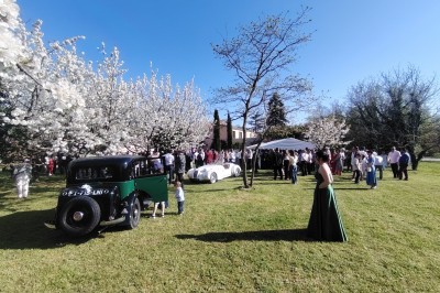 Salle décorée pour un événement, avec tables dressées, nappes noires, centres de table à plumes blanches et ballons dorés.
