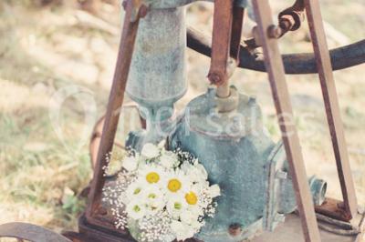 Location salle Saint-Saturnin-lès-Apt (Vaucluse) - La Fontaine Des Noyers #24