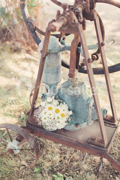 Location salle Saint-Saturnin-lès-Apt (Vaucluse) - La Fontaine Des Noyers #19