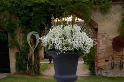 Location salle Nègrepelisse (Tarn-et-Garonne) - Manoir Des Barrayrous #23