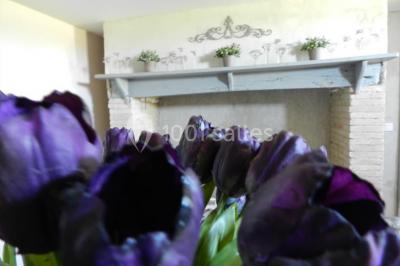 Location salle Nègrepelisse (Tarn-et-Garonne) - Manoir Des Barrayrous #23